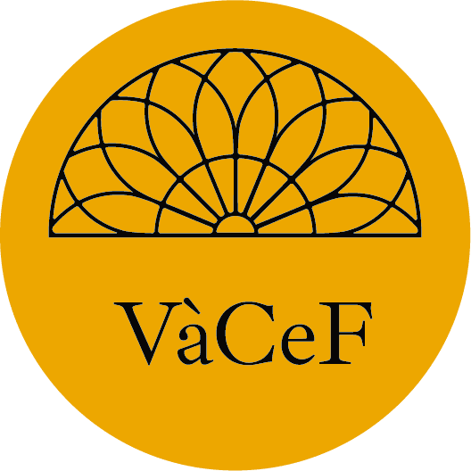 Recurso 2@4x_frescor dramático logo de Voyafer à Cuba en Français