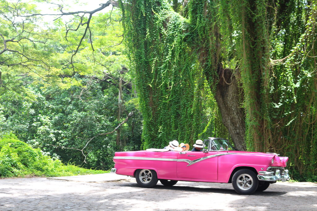 bosque_havane_cabriolet_vacef_cuba