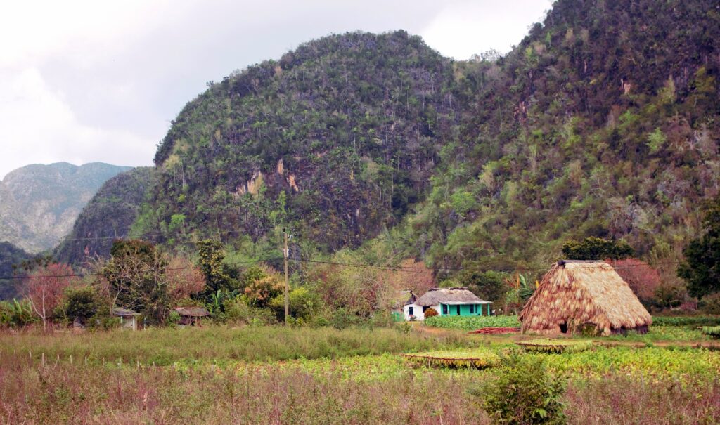 Le mogote,, cet élément du paysage fait de Vinales un endroit unique par sa nature