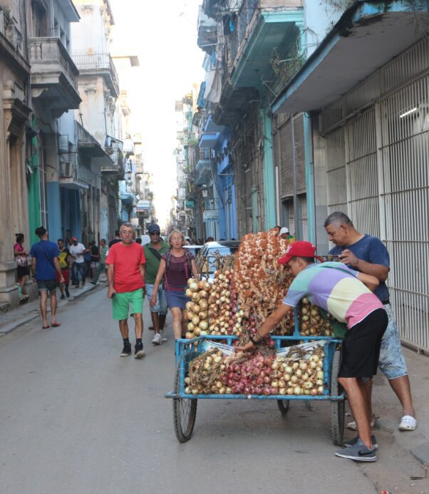VISITE DE LA VIEILLE HAVANE