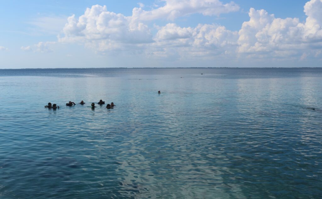 barriere_vacef_caraibe_zapata