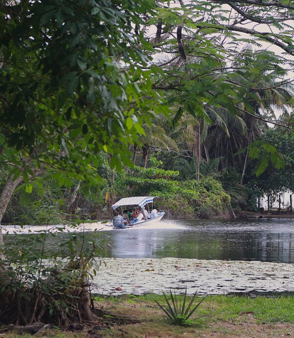 ZAPATA DEPUIS VARADERO