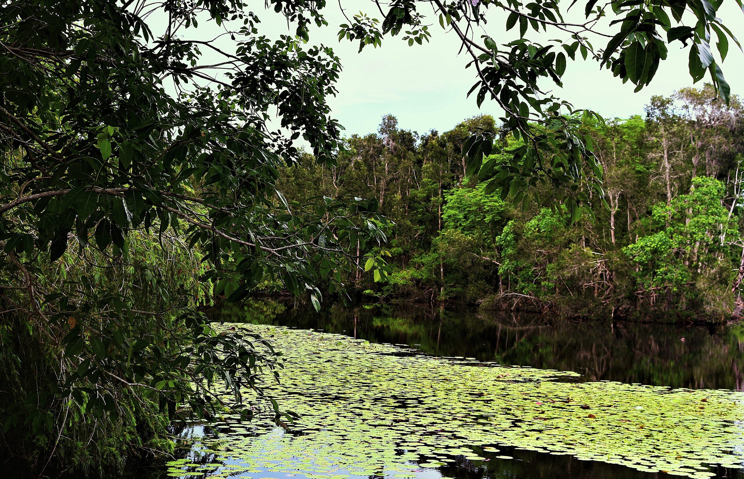 Voyager à Cuba en Français
